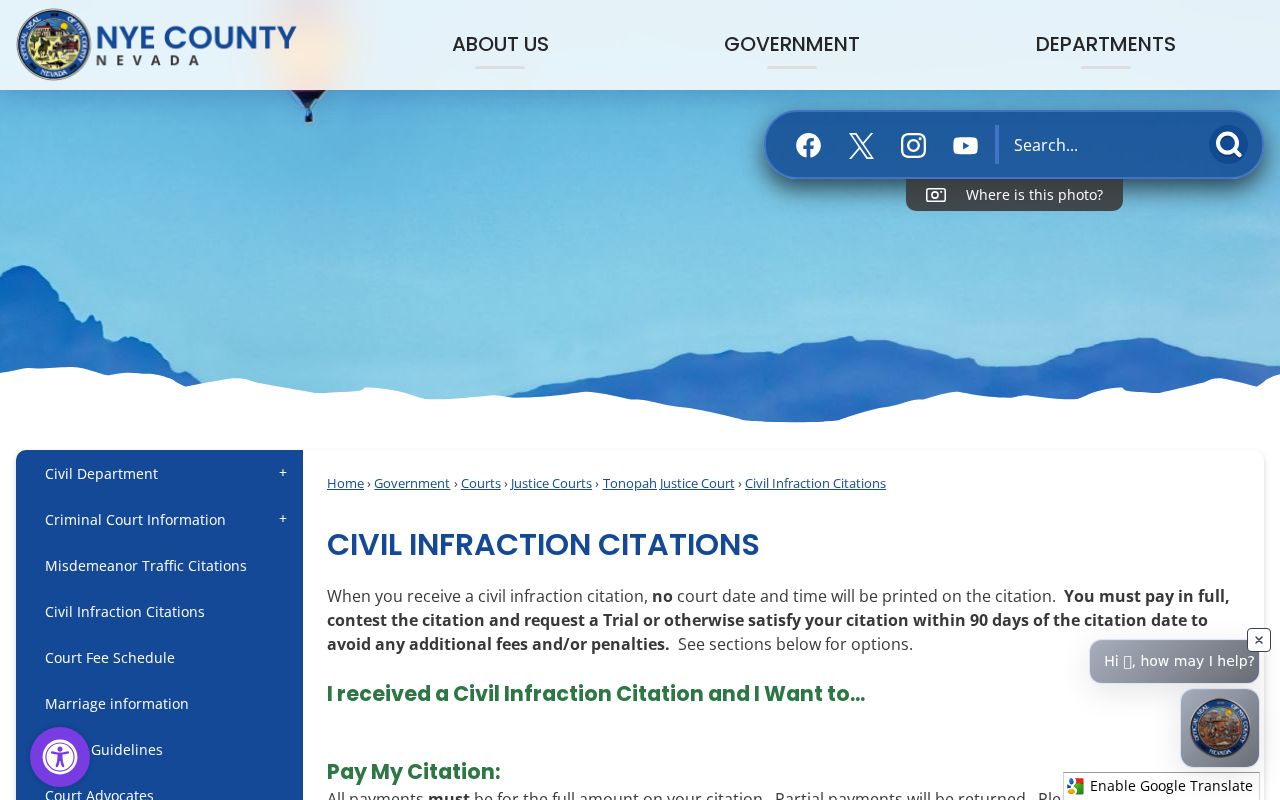 Nye County civil traffic infraction 90-day no-warrant process