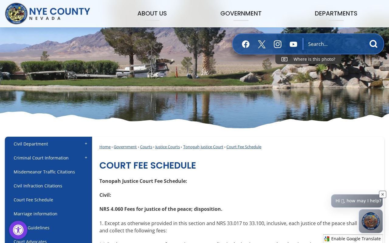 Nye County official warrant search availability review